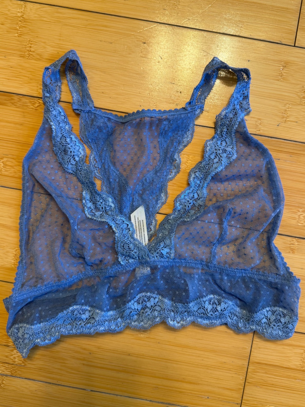 Free People Sheer Lace Bralette in Blue